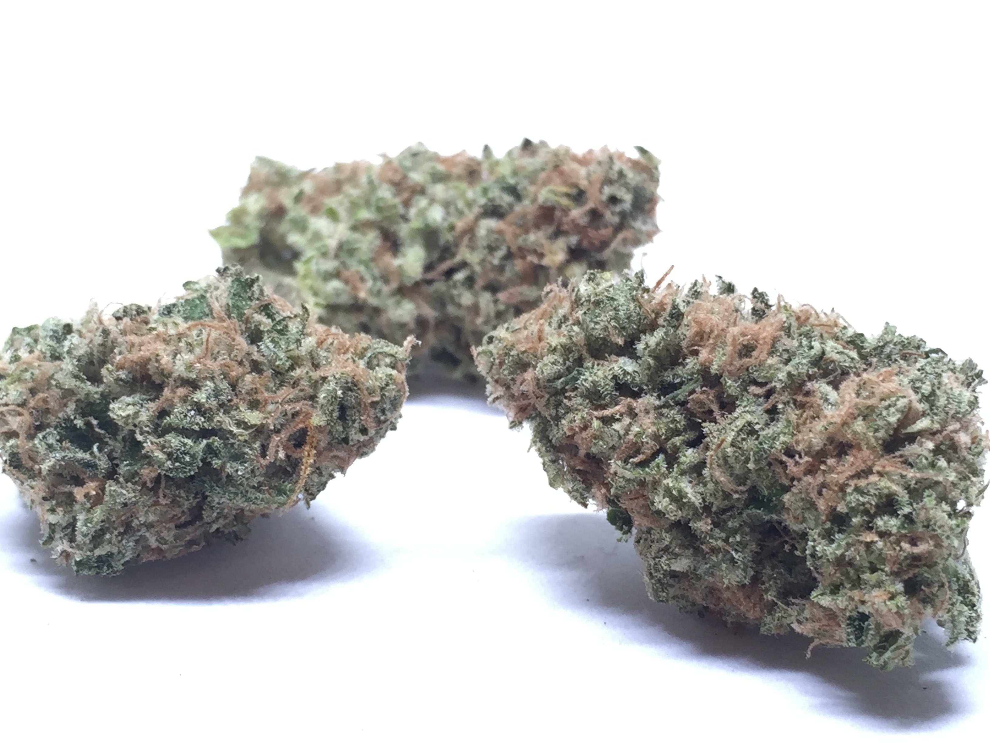 Tangerine Dream Strain Information & Reviews Where's Weed