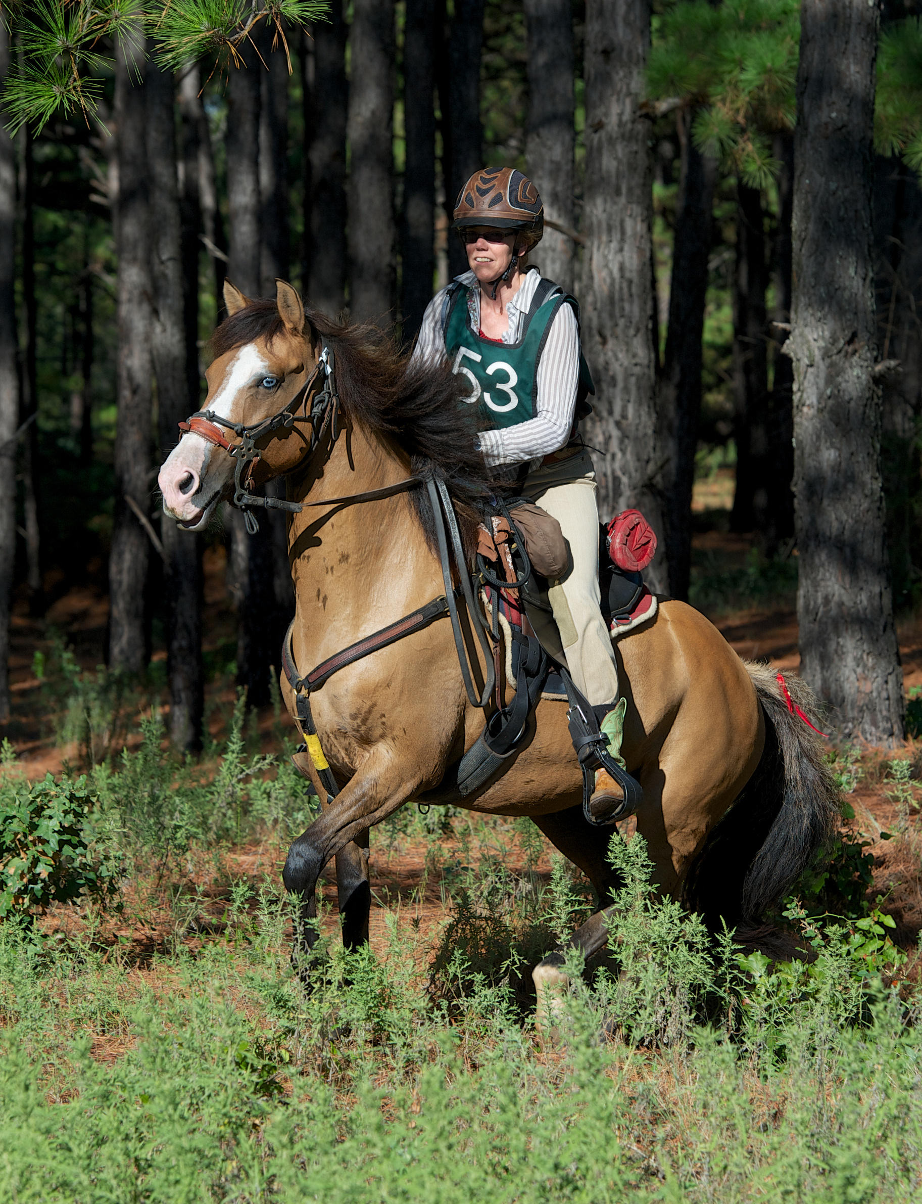 LBJ National Grasslands, Decatur TX Where The Trails Are…