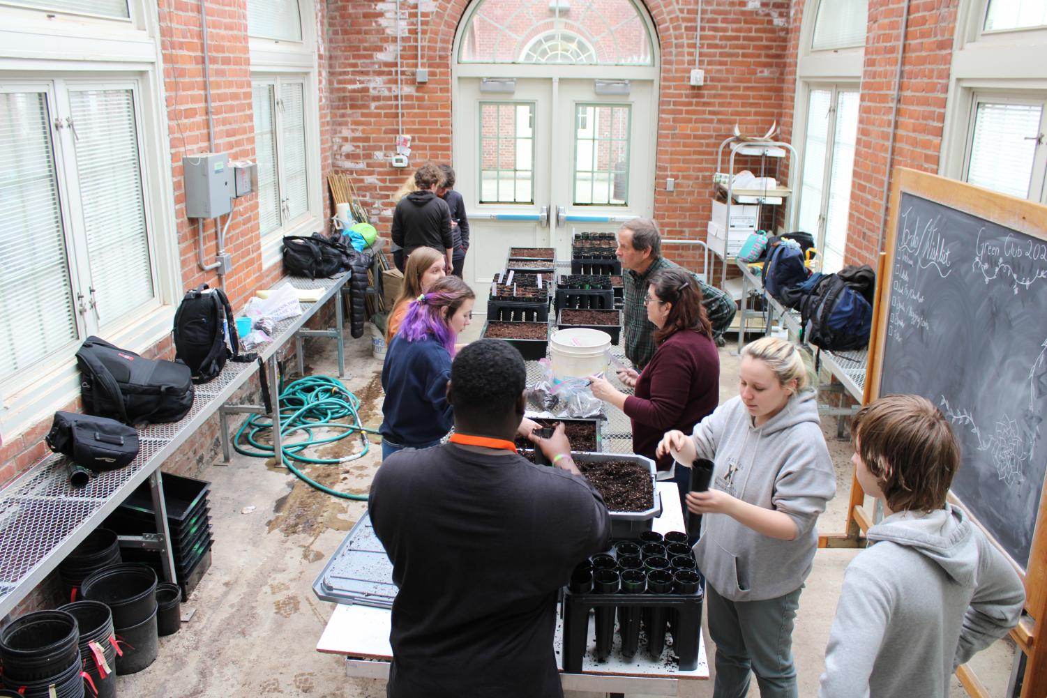 Behind the Walnut Woods endeavor The Chatterbox