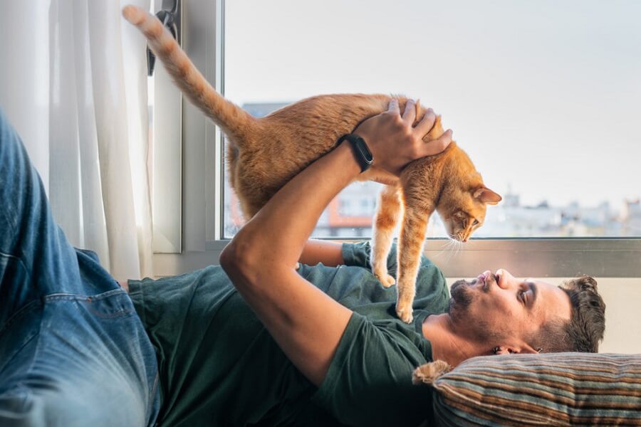 Fetch! Pet Care Franchise UK whichfranchise Master