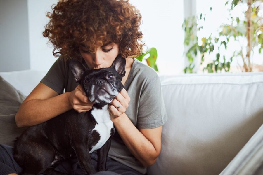 Fetch! Pet Care Franchise UK whichfranchise Master