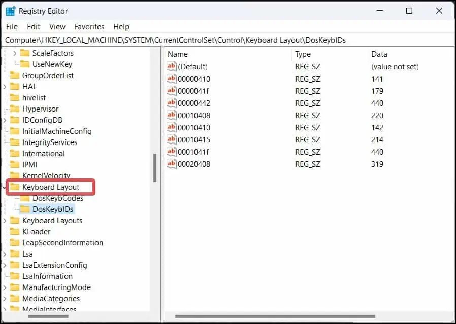 Il tasto funzione (Fn) non funziona come risolverlo