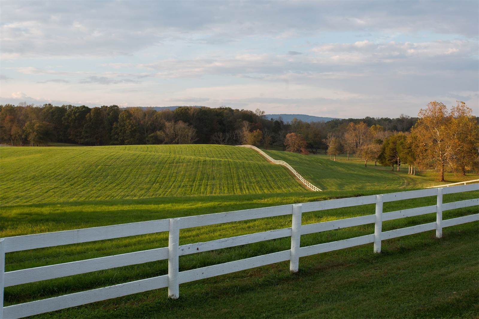 Eldon Farm