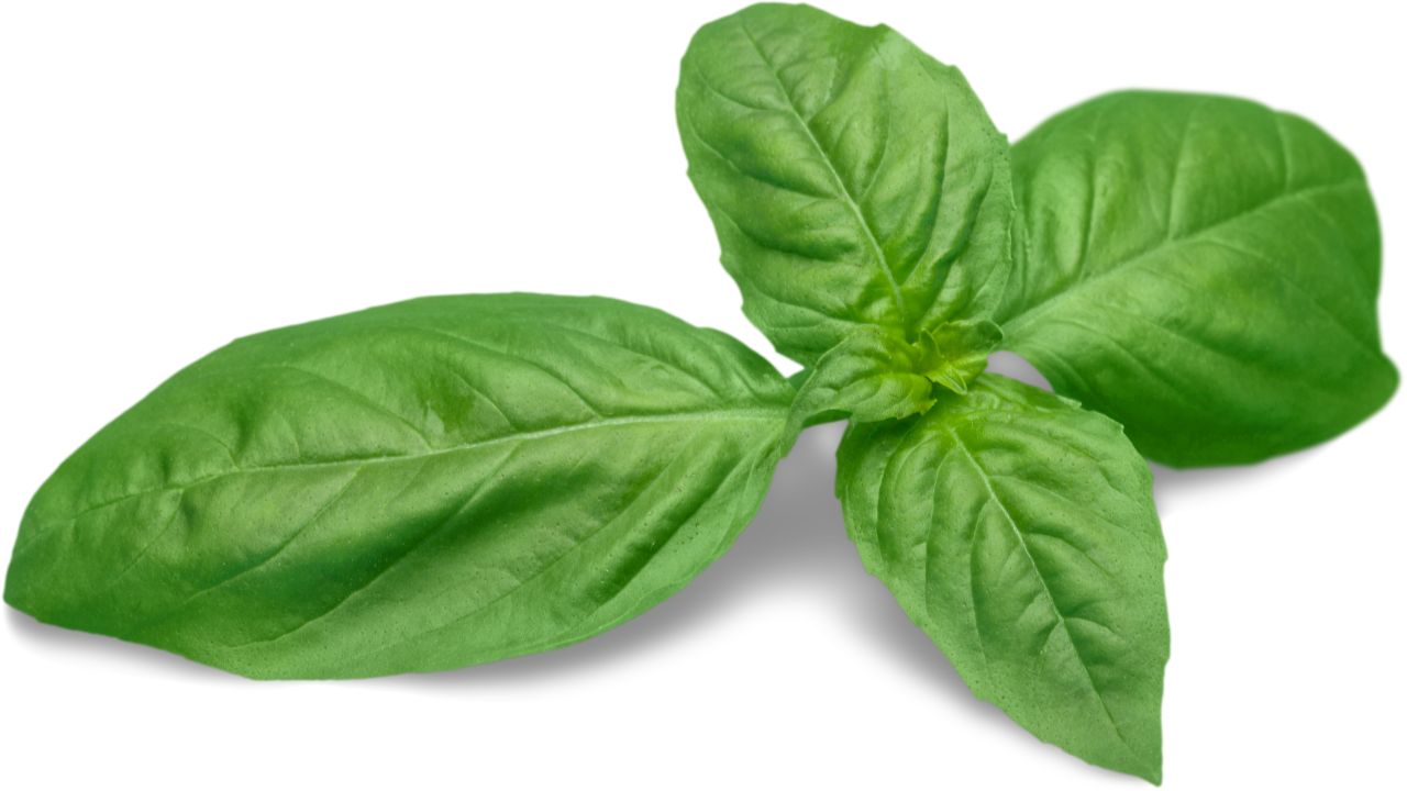 8 Tasty Substitutes For Parsley Whimsy & Spice