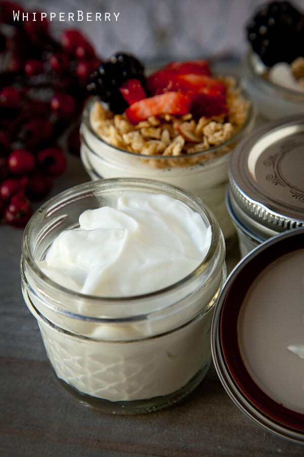 Extra Creamy Yogurt Cups Recipe
