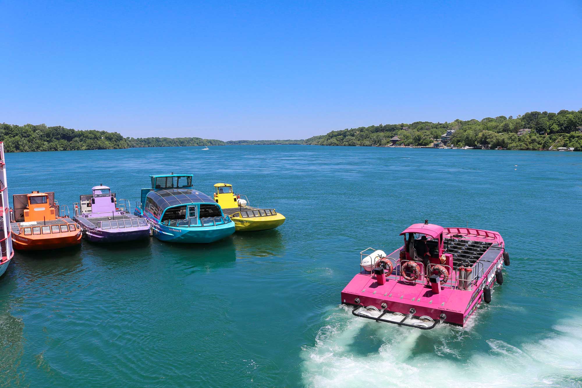 Contact Us Whirlpool Jet Boat Tours
