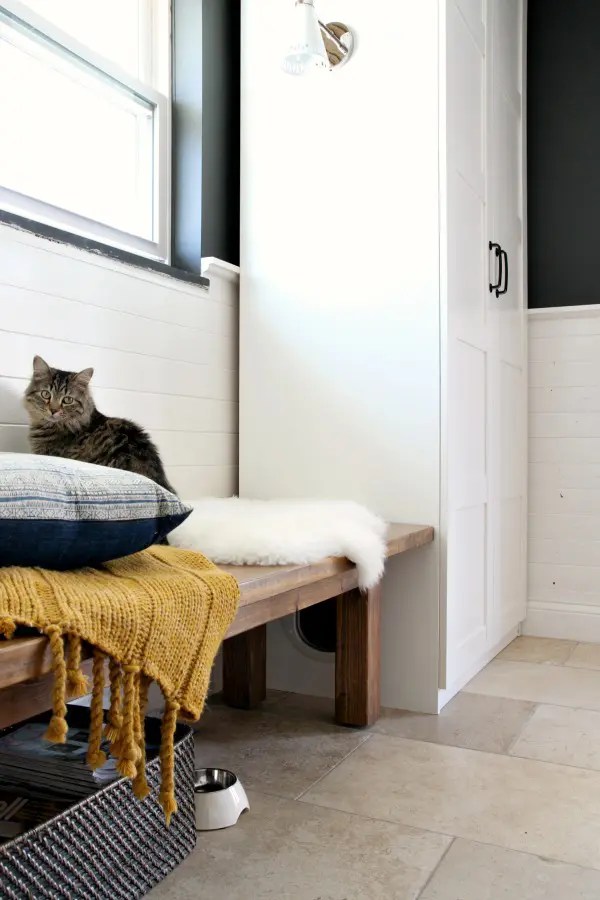 20+ Easy IKEA Hacks for Cats (and Cat Parents!) Whiskers Magoo