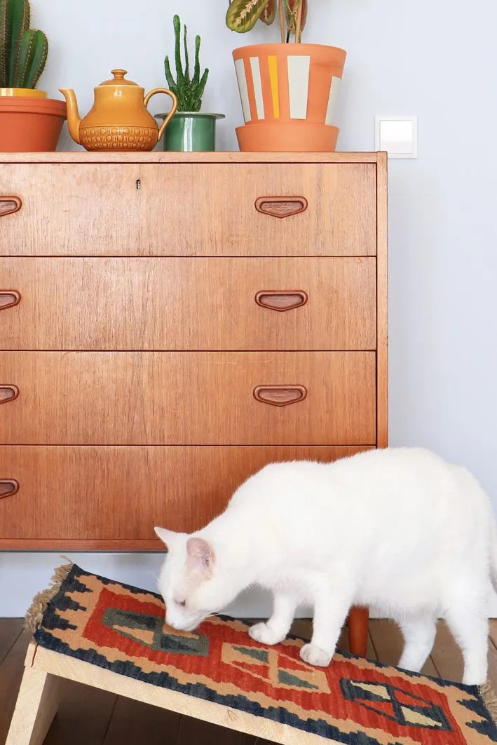 20+ Easy IKEA Hacks for Cats (and Cat Parents!) Whiskers Magoo