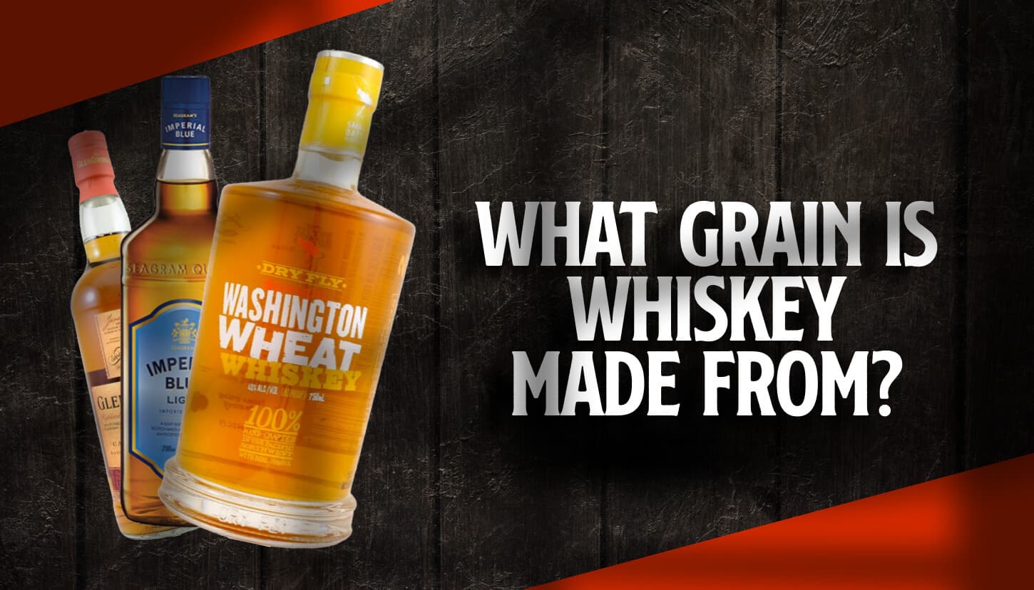 What Grain is Whiskey Made From? (9 Types + Grain Sources) Whisky Ride