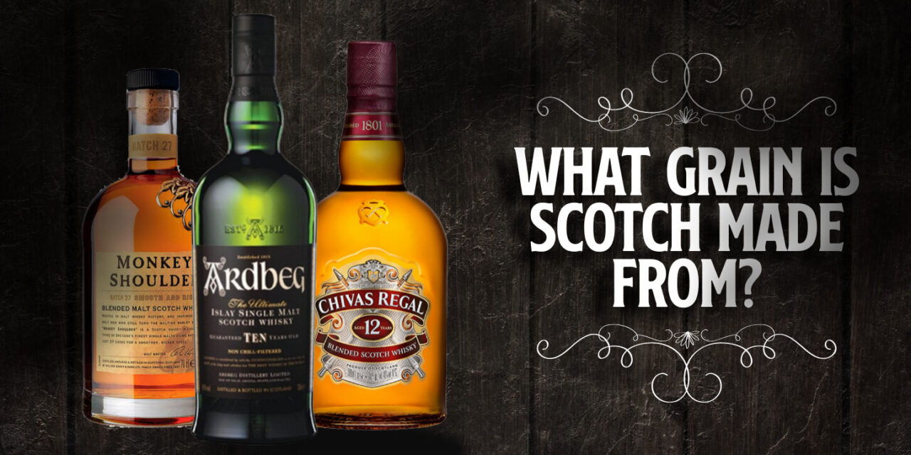 What Grain is Scotch Made From? (Barley? Malted?) Whisky Ride
