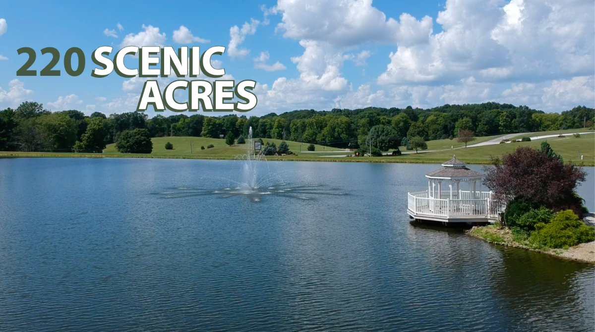 Home Whispering Hills Jellystone Park