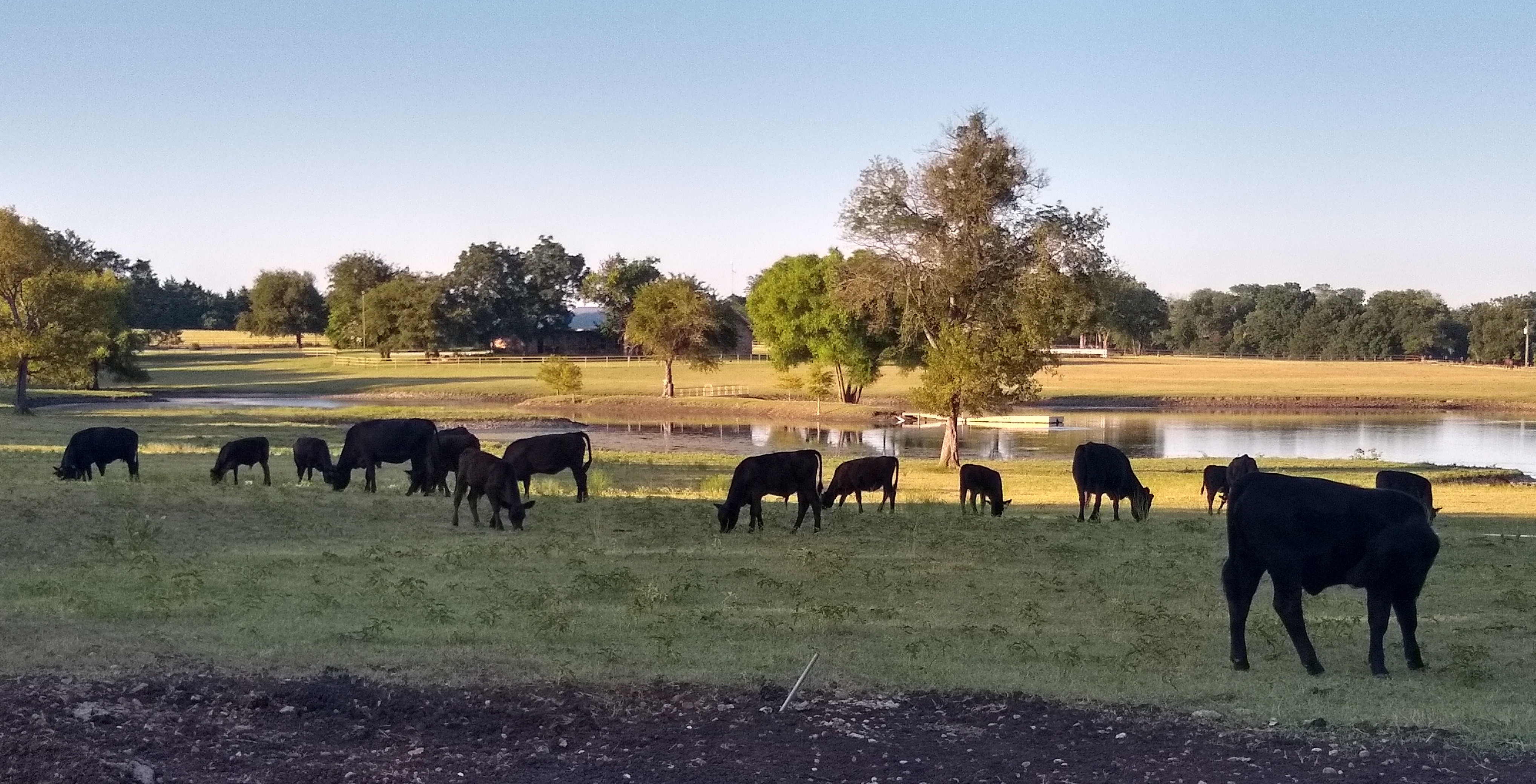 Landing Whispering Waters Ranch