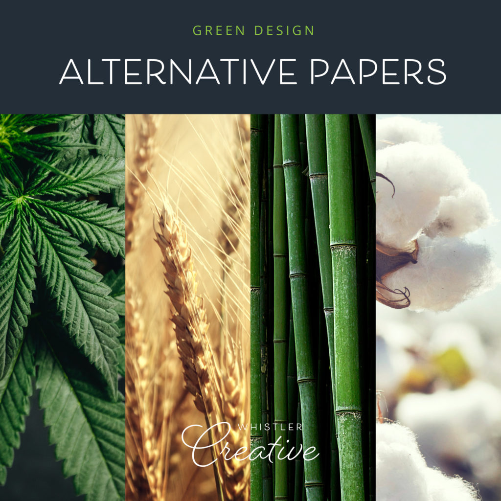 8 Ecofriendly, Sustainable Paper Stocks Not Made of Trees