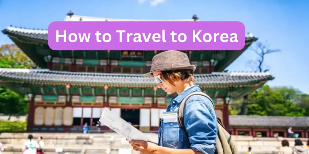 Travel to Korea Tips, Itineraries, and More Your Ultimate Guide