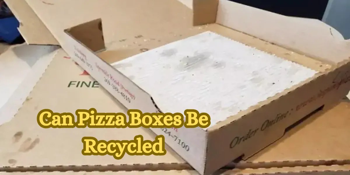 Can Pizza Boxes Be Recycled? Tips for EcoFriendly Disposal