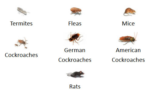 White & Lavender Pest Control Exterminators Serving Macon and Middle