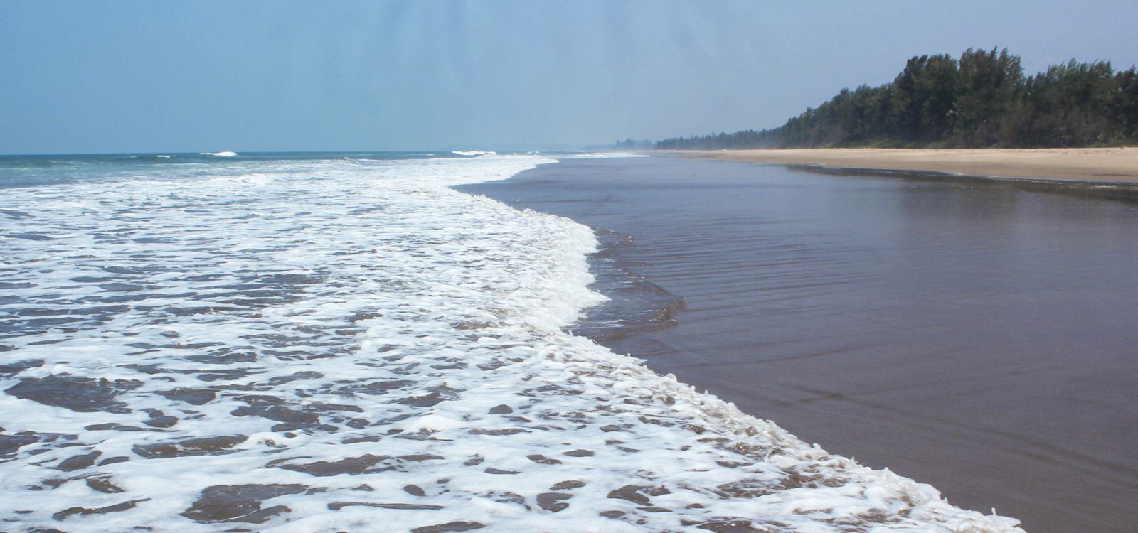Achara Beach Maharashtra Beaches Of India