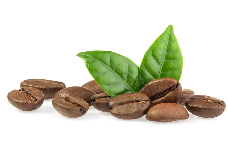 Products White Bear Coffee Company