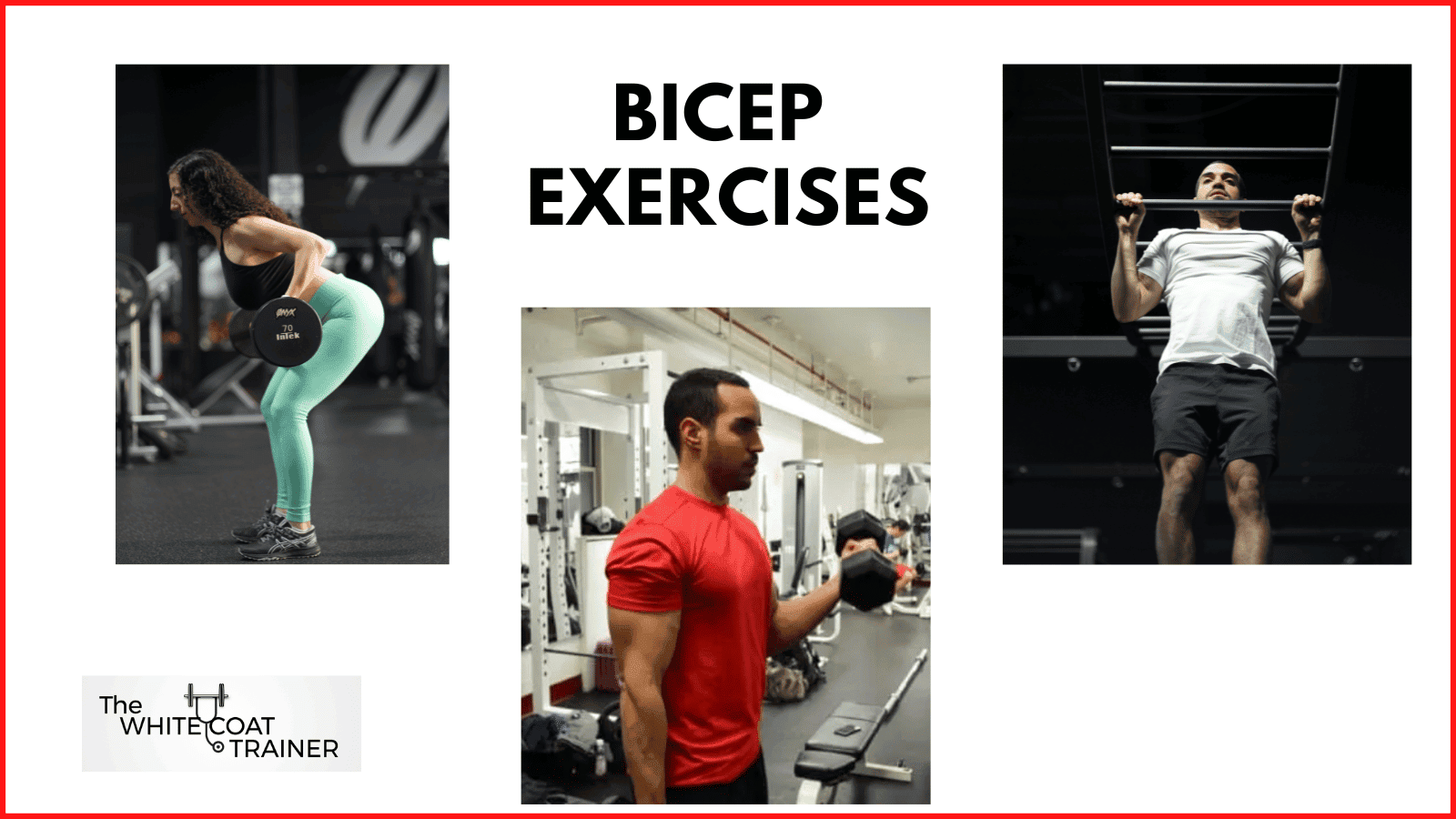 Do You Really Need Isolation Exercises? 3 Times When They Are Necessary