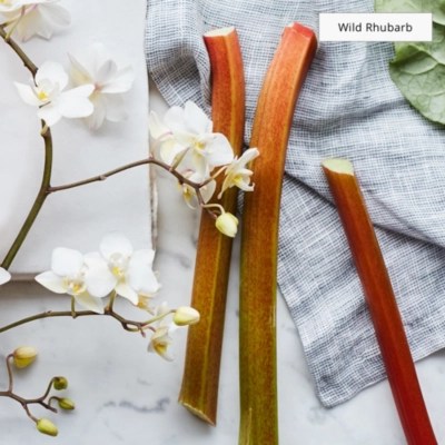 The Mini Diffuser Set Candles and Fragrance The White Company US