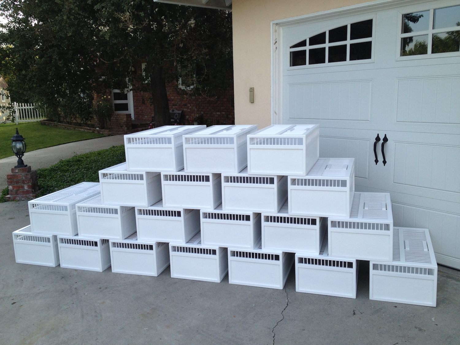 Equipment White Dove Release