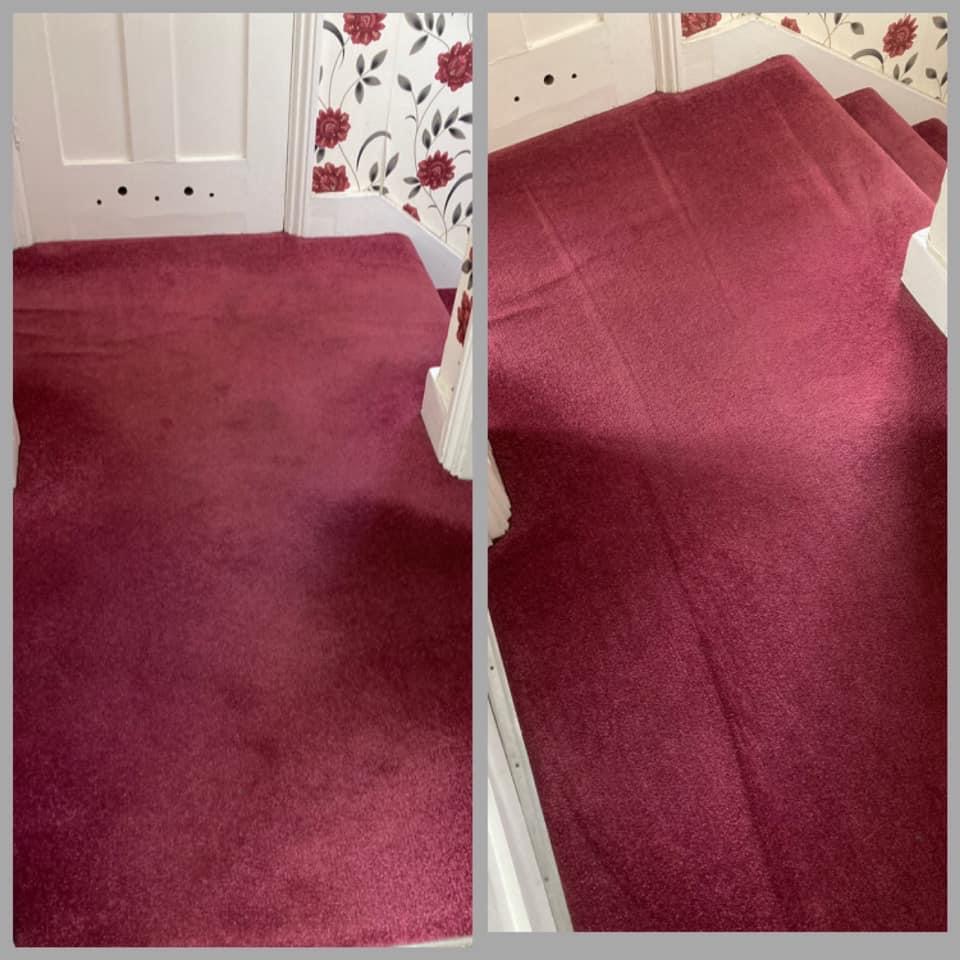 Carpet Cleaning White Feather