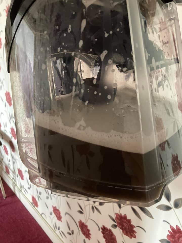 Carpet Cleaning White Feather