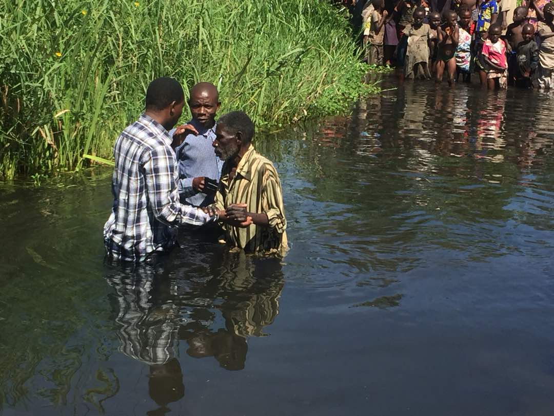 Set Free White Fields
