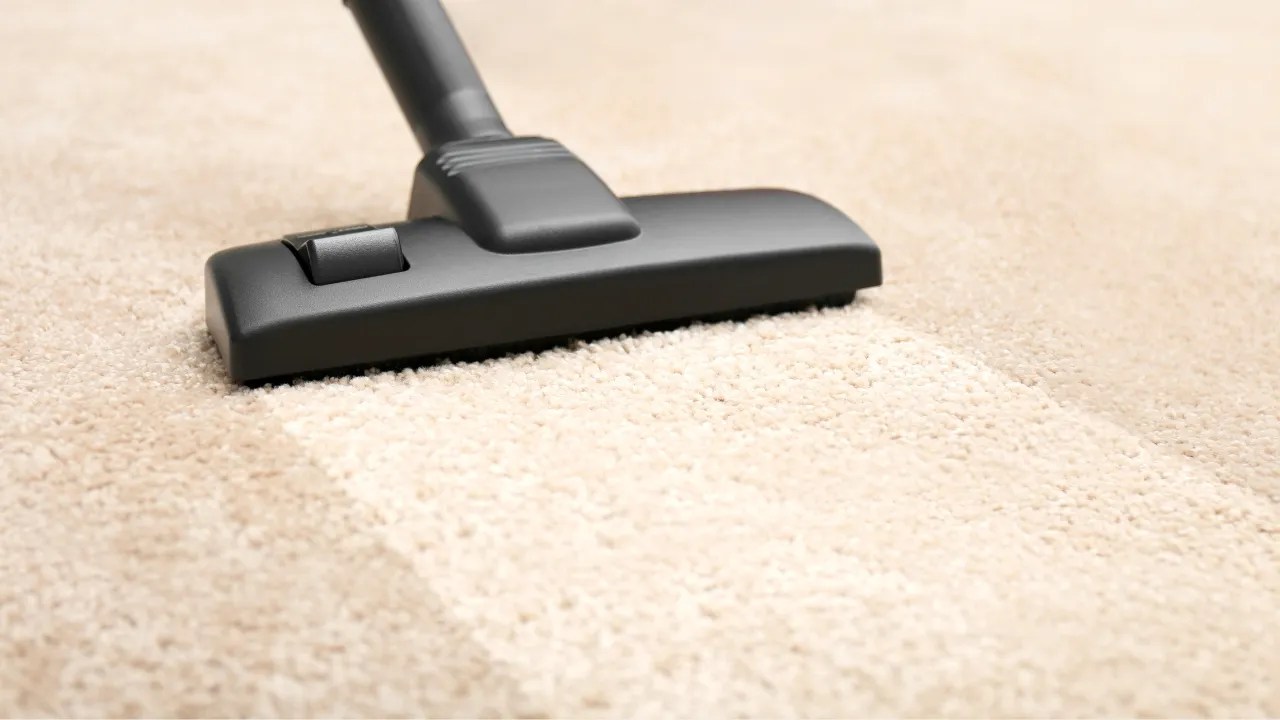 Carpet Dry Cleaning Everything You Need to Know Explained