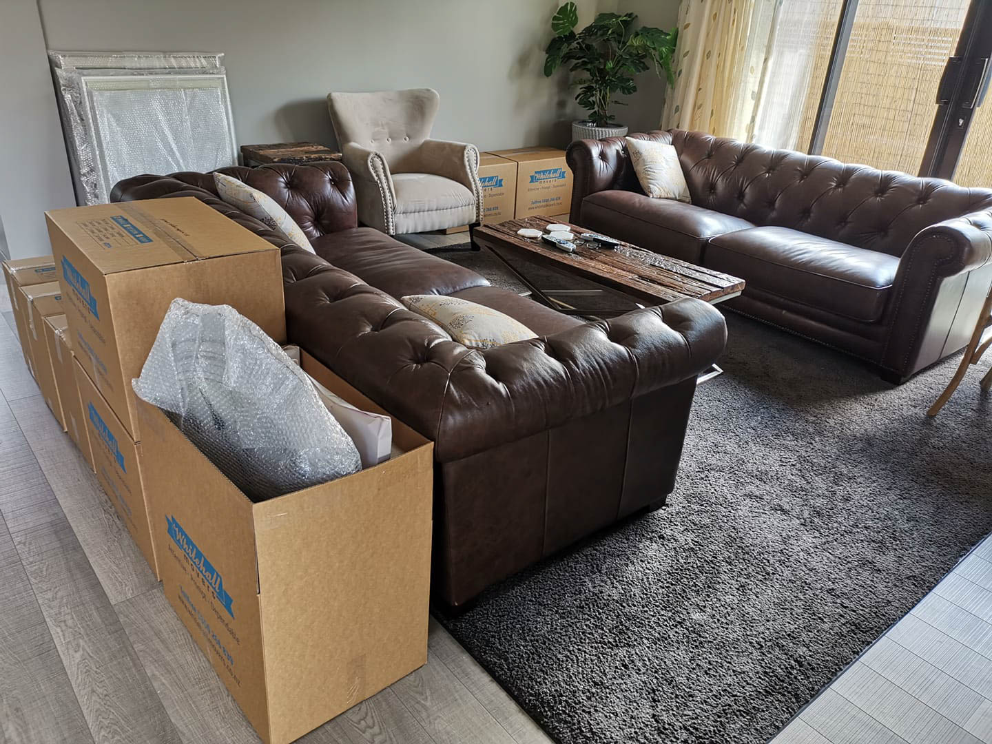 Packing Services and Supplies in Waikato Whitehall Movers