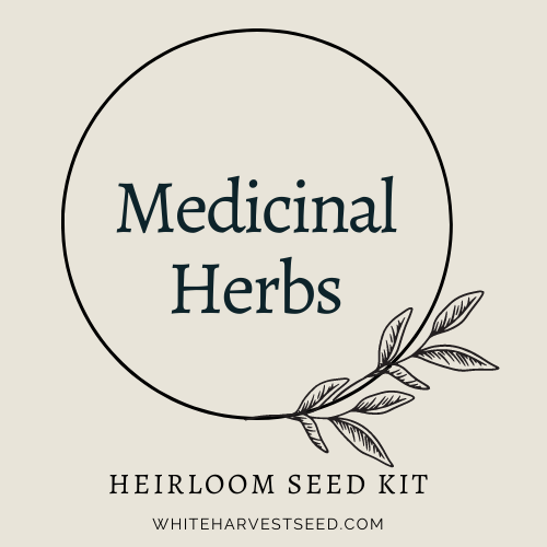 Medicinal Herb Kit White Harvest Seed Company