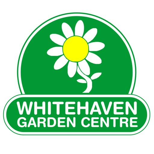 Flower Basket Whitehaven Opening Times Best Flower Site