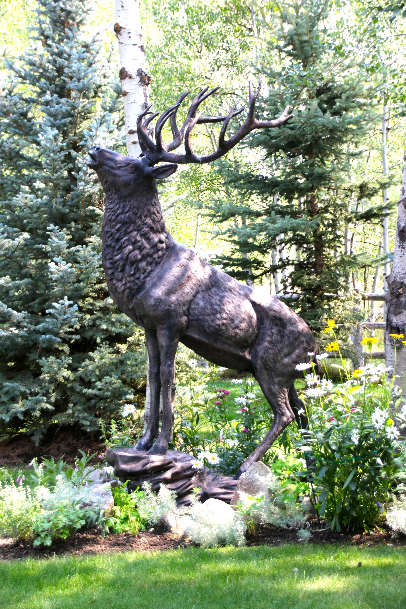 Landscape Construction Whitehead's Landscaping