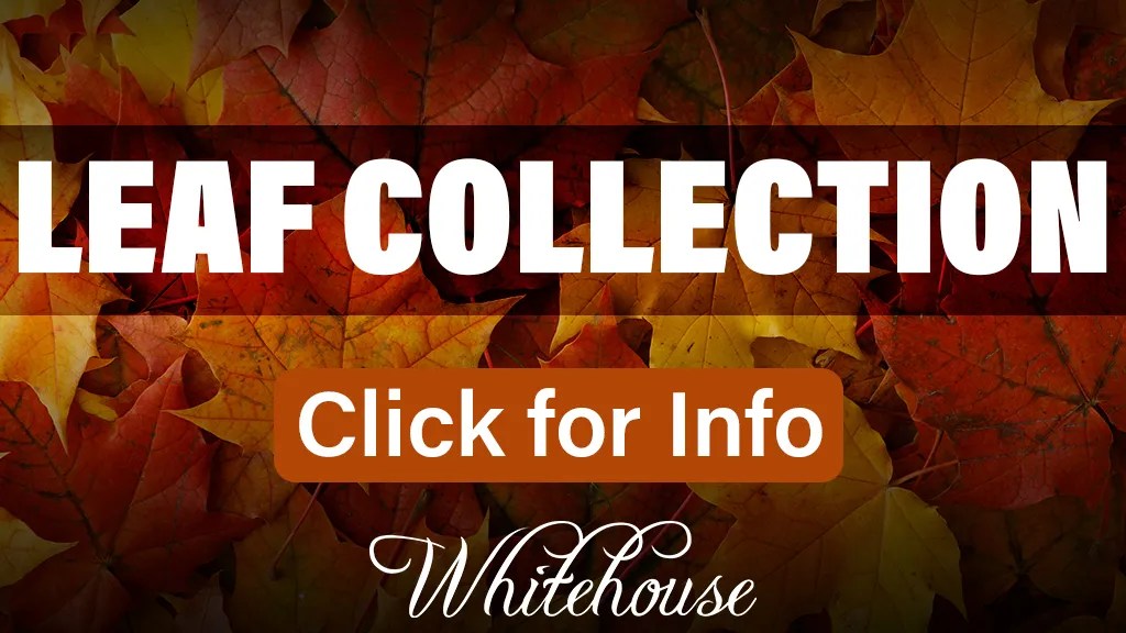 Leaf Collection to Whitehouse, Ohio