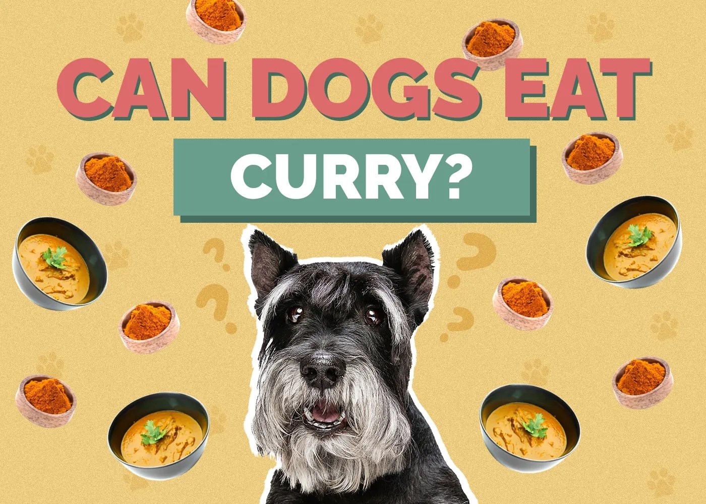 Can Dogs Eat Curry? 3 Harmful Side Effects of Curry Powder