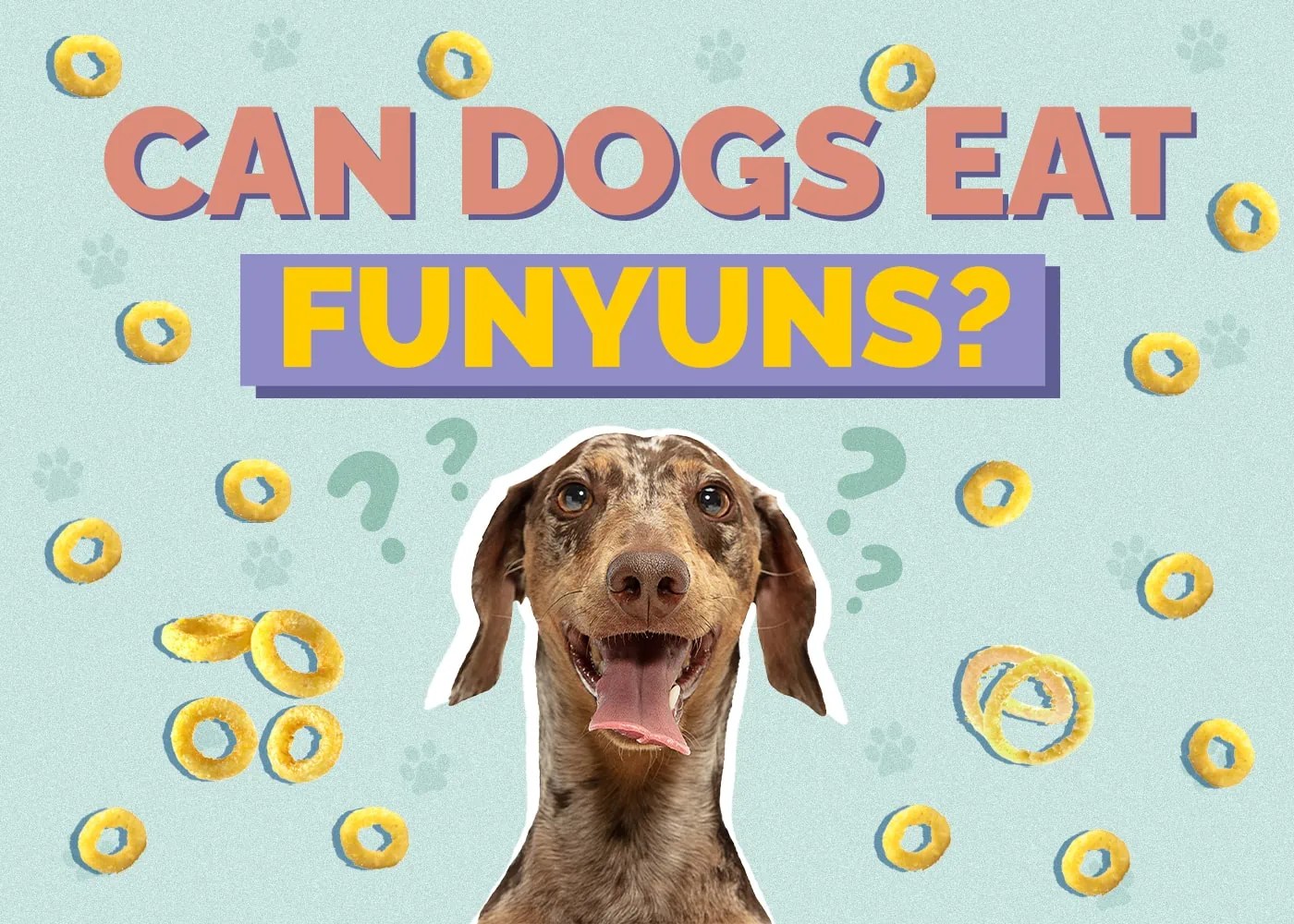 Can Dogs Eat Funyuns? What The Science Says