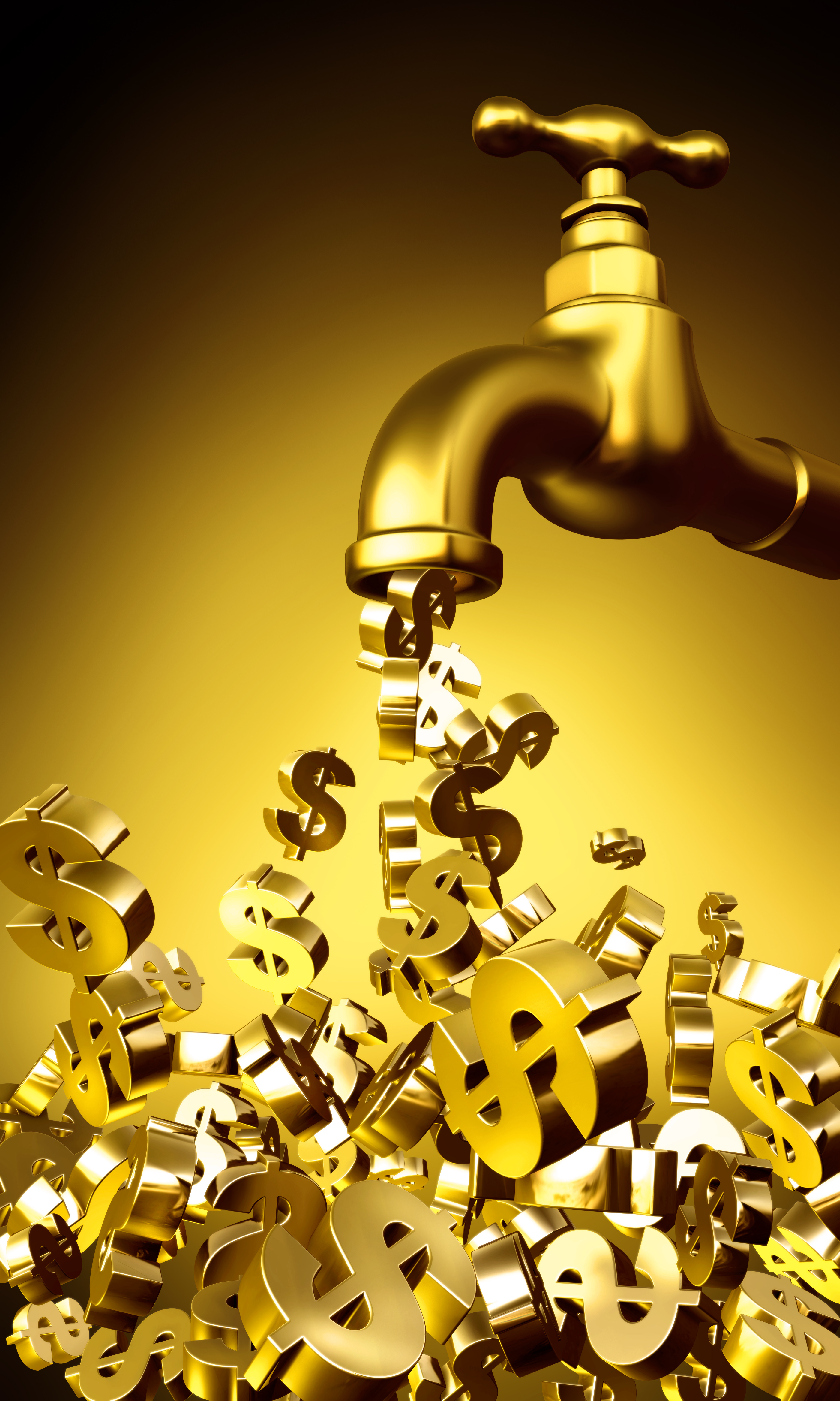 How Does Your Money Flow? Elin Barton