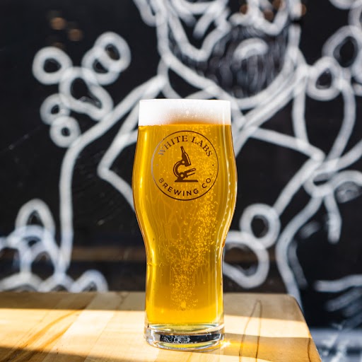 Quest For The Best Blonde Ale Yeast White Labs Brewing Co.