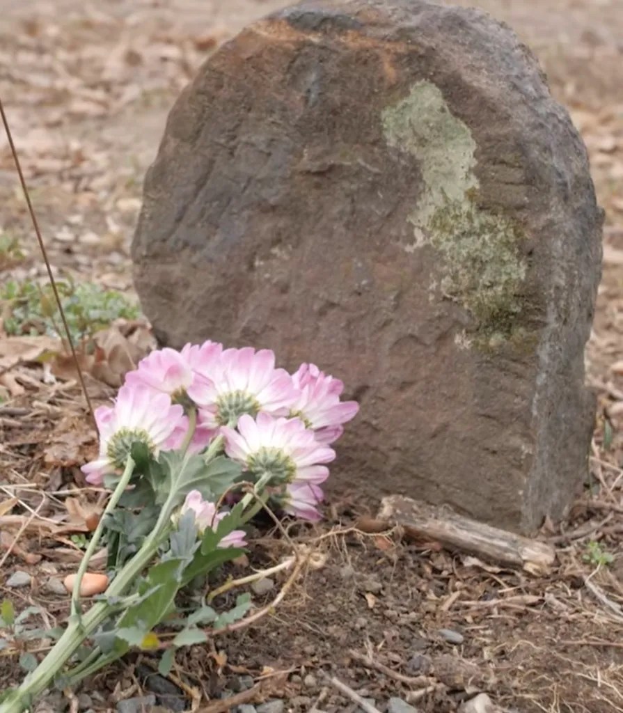 White Marsh Historical Society Remembering the Past, Redirecting the