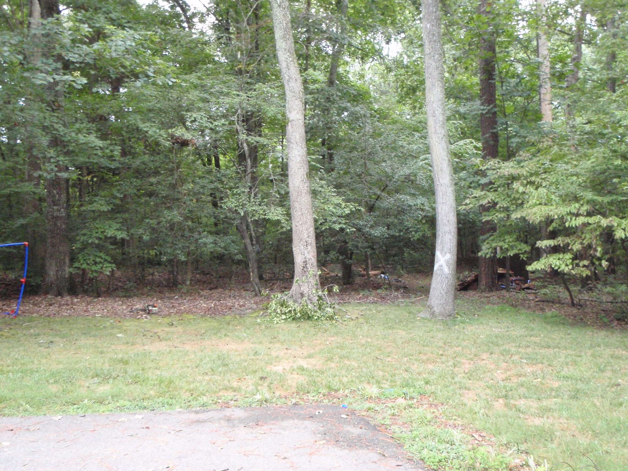 backyardclearing2 White Oak Landscaping & Grading, LLC