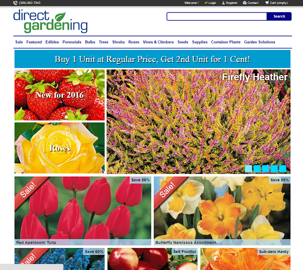 Portfolio White Oak Technology Group