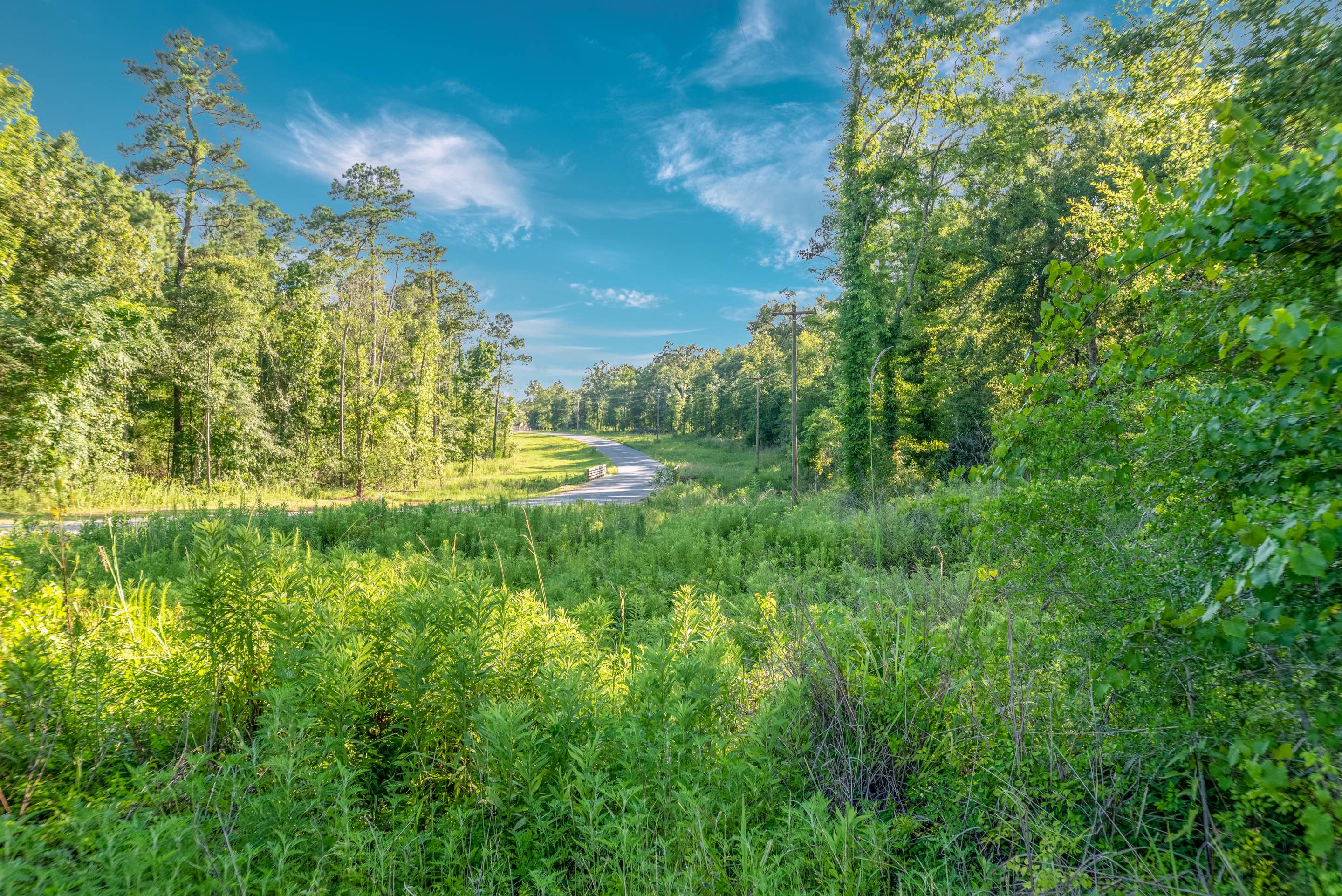 Home White Oak Trails