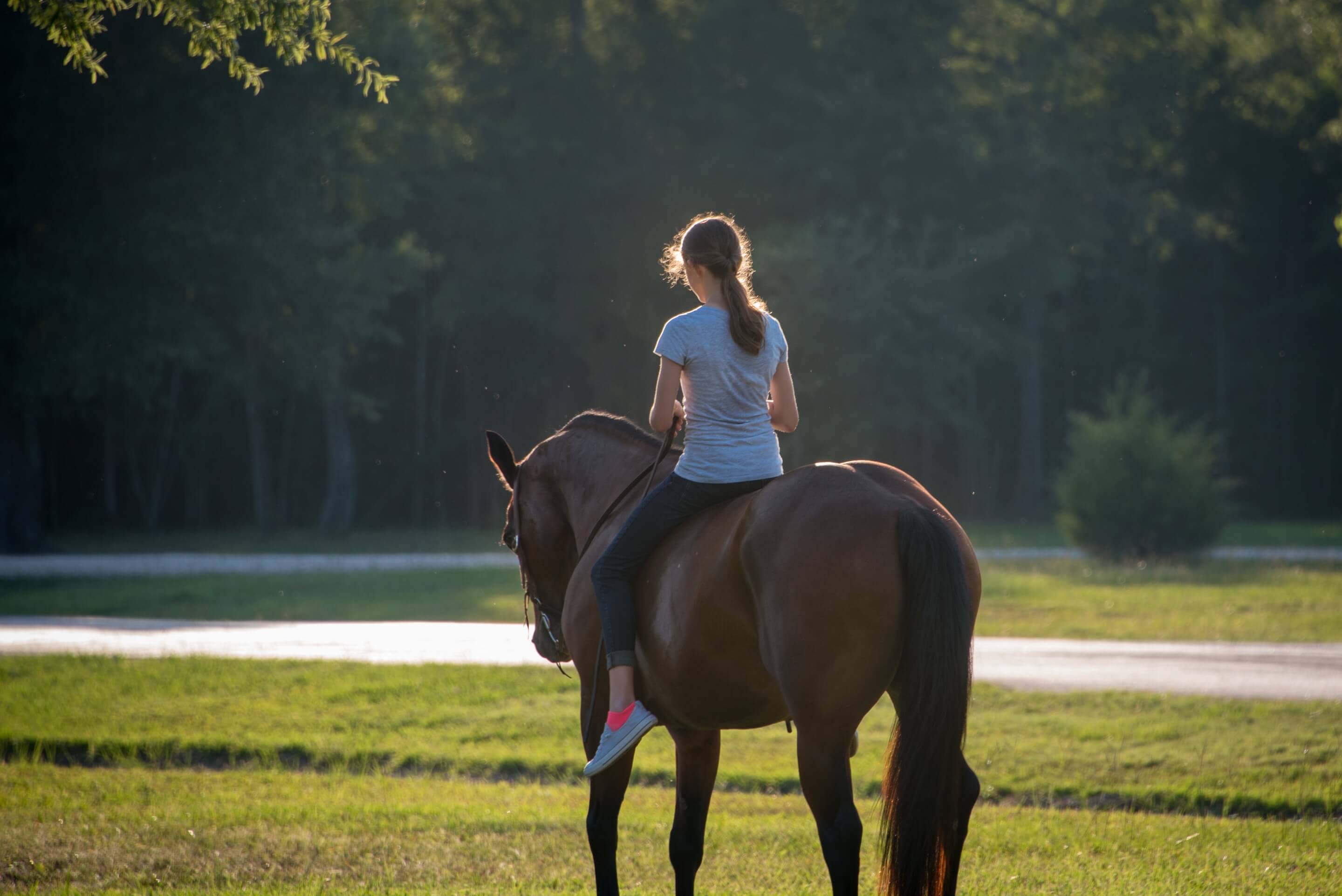 Home White Oak Trails