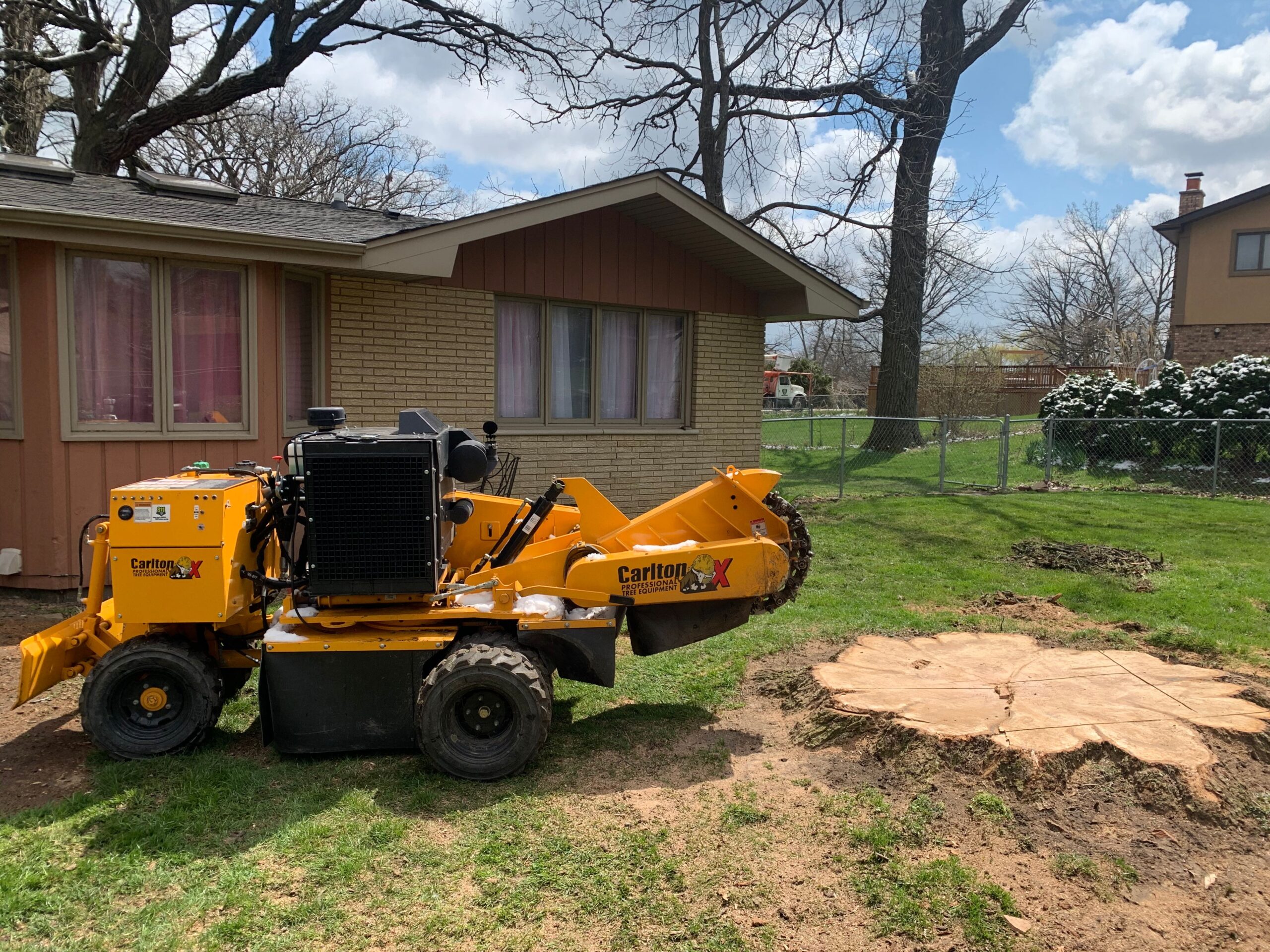 Tree Stump Removal & Grinding Services Near Me