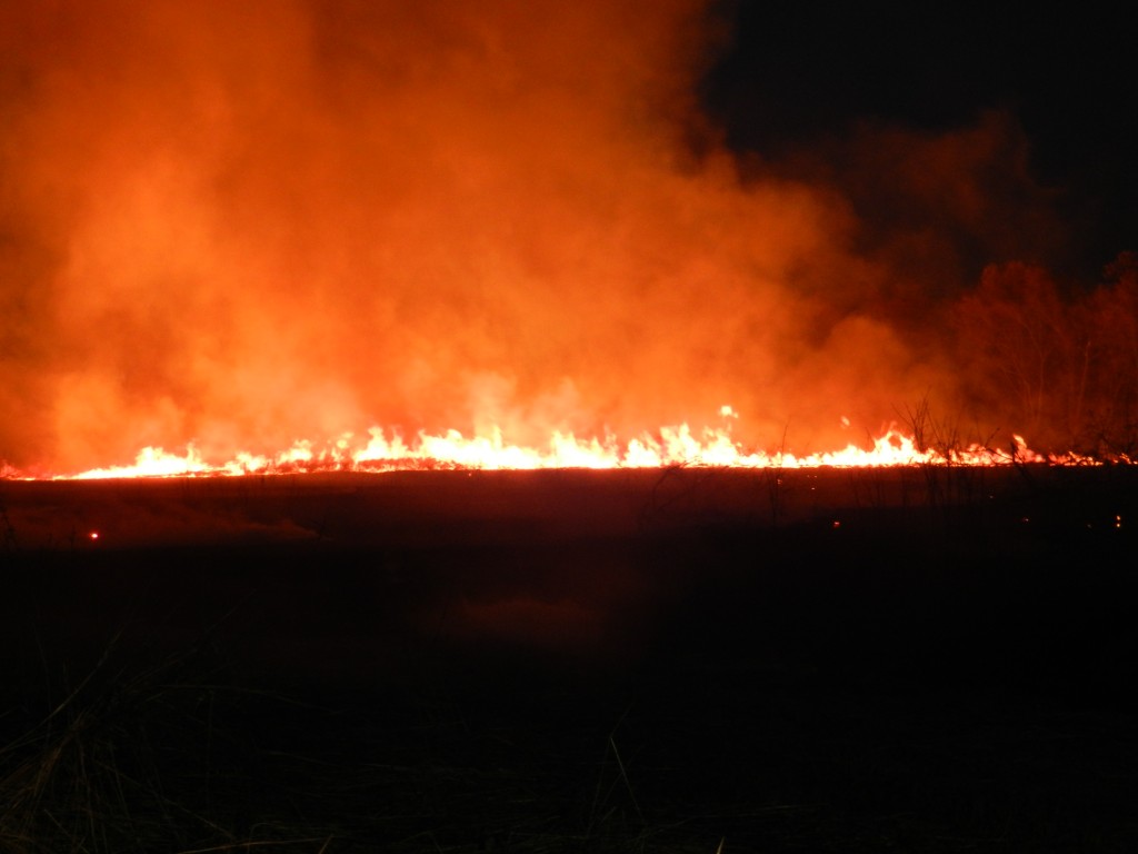WPFD Chief White Pigeon Township