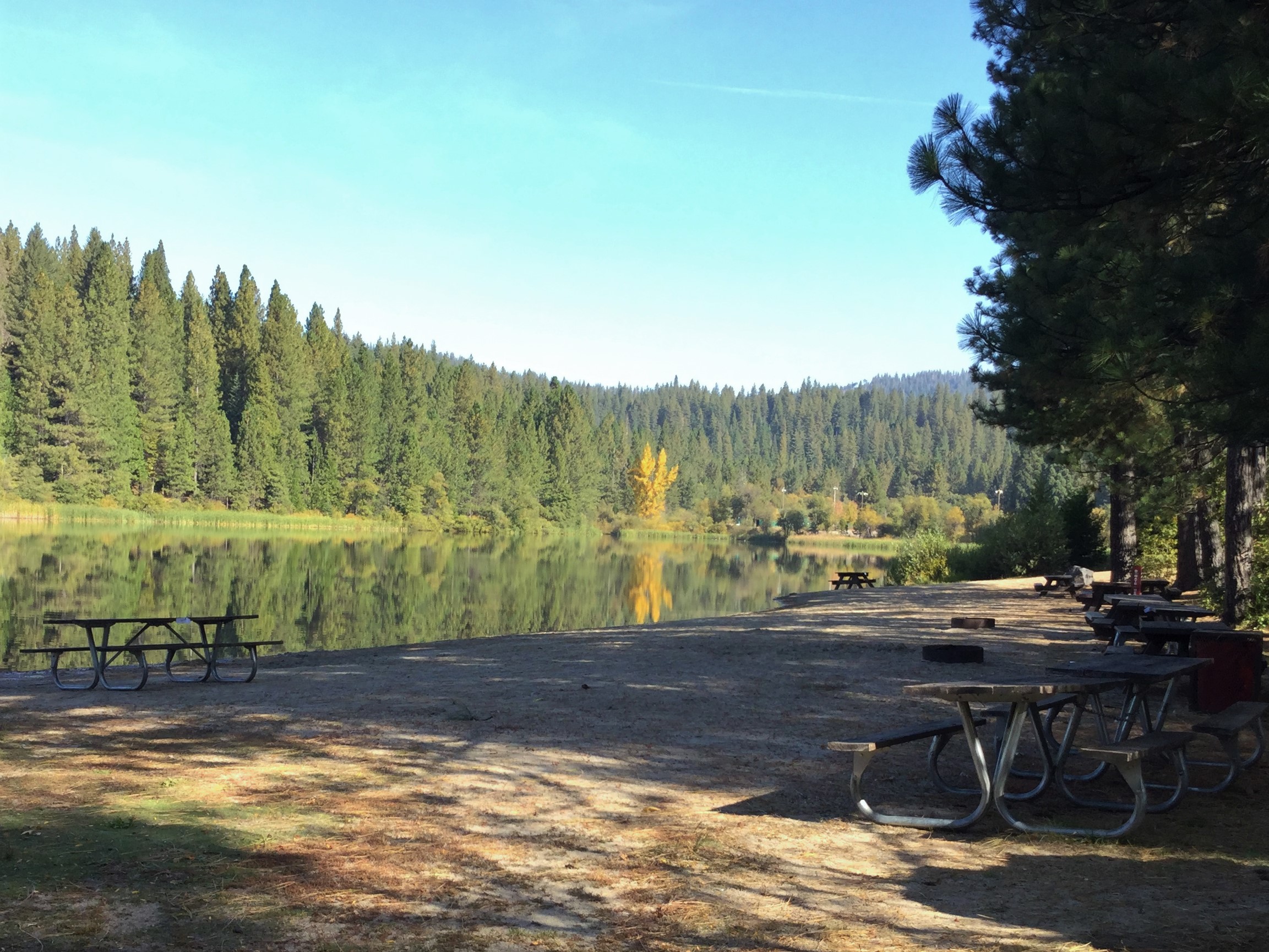 White Pines Park Committee