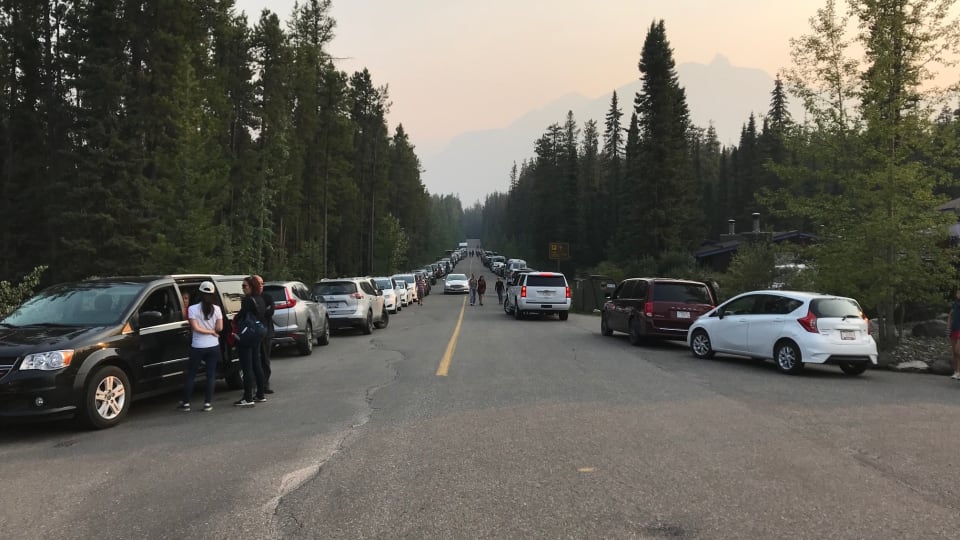 Two Accidents In Jasper Kill Six And Wound 10 White Pine Tribune