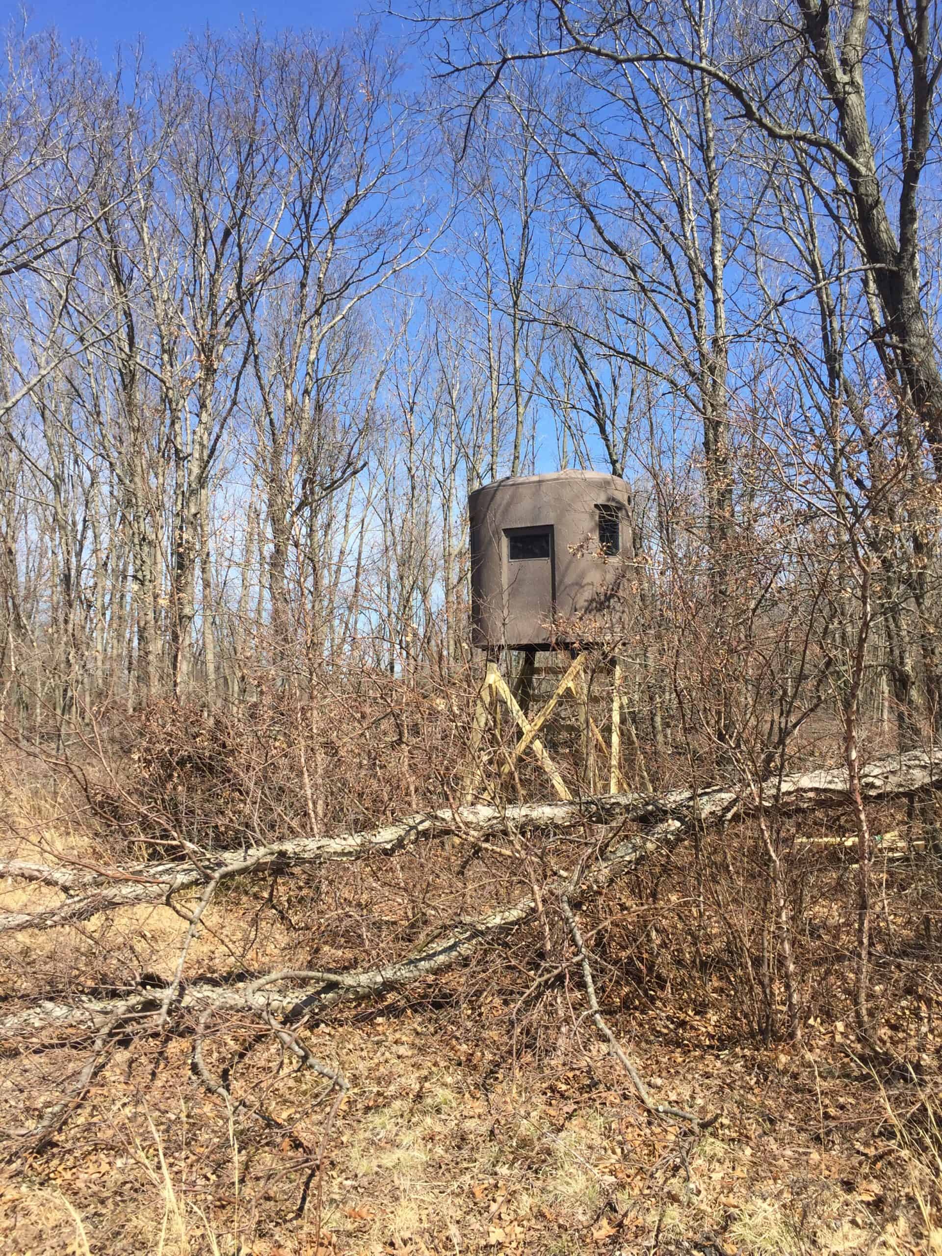 Where you should setup your deer stand Whitetail Advisor