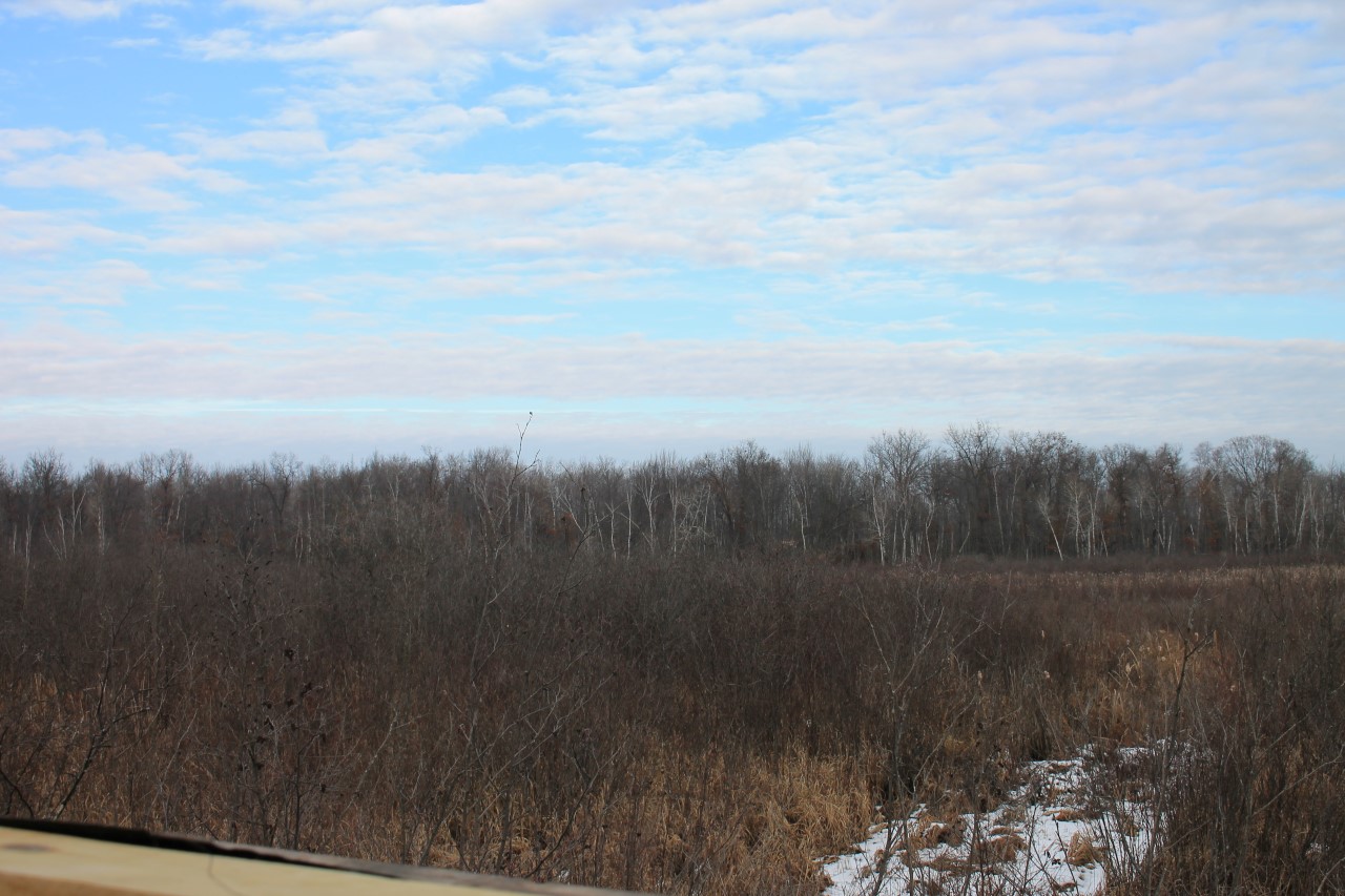 Secluded Oconto County 40 acre hunting property Whitetail Dreams