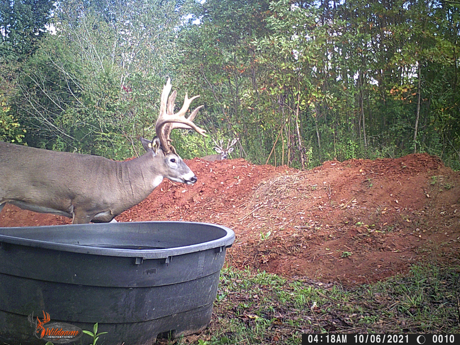 GALLERY Whitetail Dreams Ranch Princeton, KY